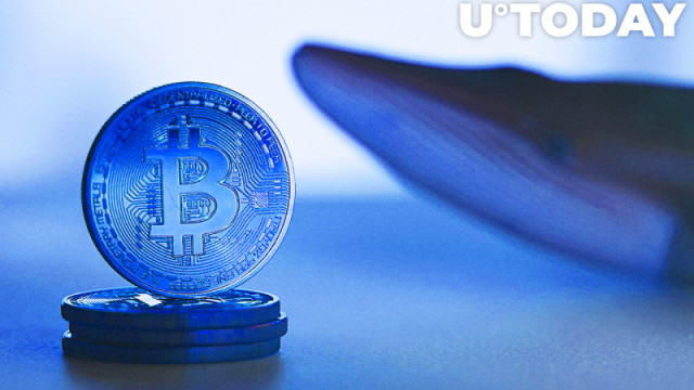 220.000 BTC gekocht door Bitcoin Whales sinds december, snelste accumulatie sinds eind 2019: Santiment