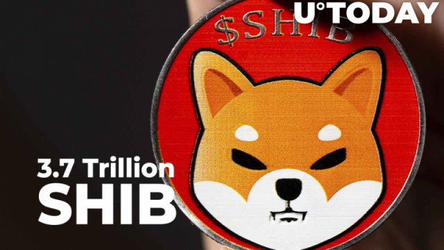 3,7 biljoen SHIB landt in Whale's Wallet na massale aankoop: details