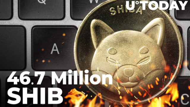 46,7 miljoen SHIB verbrand in meer dan 24 uur, terwijl de Burn Pot van dit bedrijf stijgt tot 191 miljoen tokens
