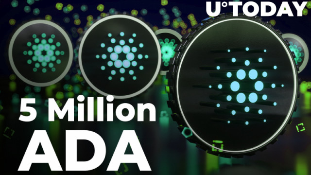 5 miljoen ADA gegrepen door top BNB-walvis: details