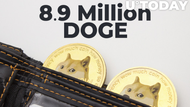 8,9 miljoen DOGE gekocht door Major BNB Whale: details