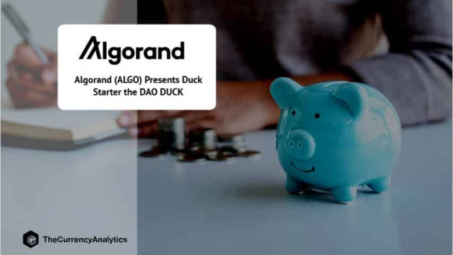 Algorand (ALGO) presenteert Duck Starter de DAO DUCK