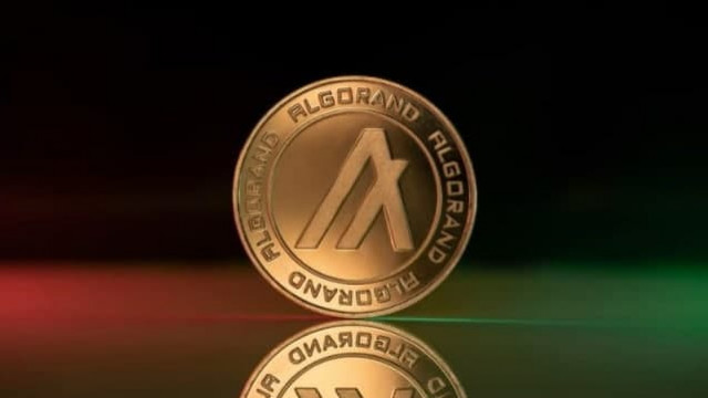 Algorand Blockchain is met 35% gegroeid in Q1 2022