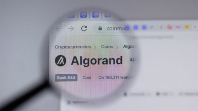 Algorand Prijsvoorspelling: Waarom Algo vandaag daalt