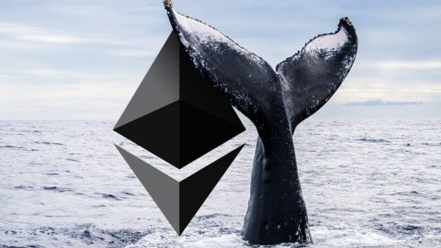 Altcoin-korting: wat Ethereum-walvissen kopen via de dip?