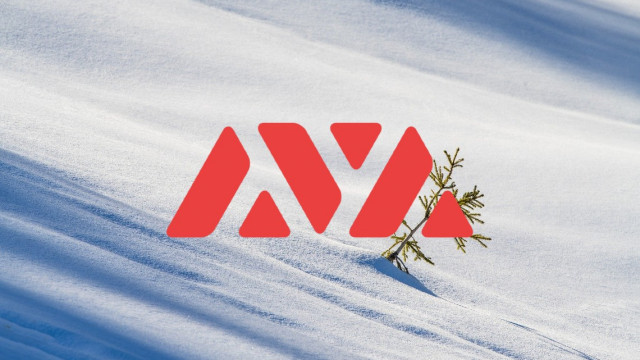 Avalanche's Foundation heeft $ 290 miljoen uitgegeven om de groei van het subnet te bevorderen