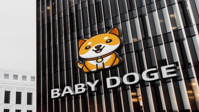 BabyDoge overtreedt 1,4 miljoen houders en laat Shiba Inu veel achter