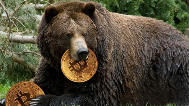 Bears verstevigen de markt, waarom Bitcoin de week boven $ 36.000 moet sluiten