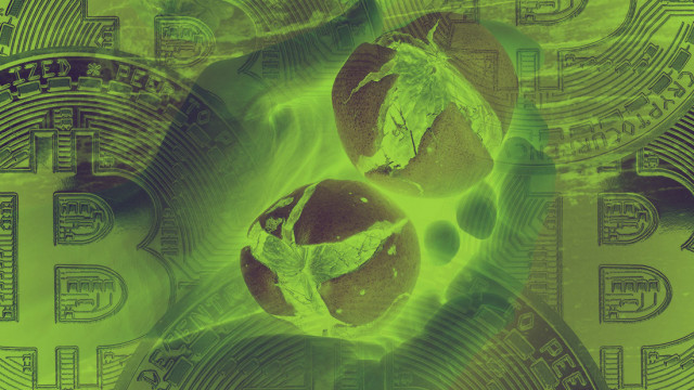 Ben je blootgesteld? Hoe Chainalysis de Wasabi Bitcoin-privacyportemonnee heeft gekraakt?