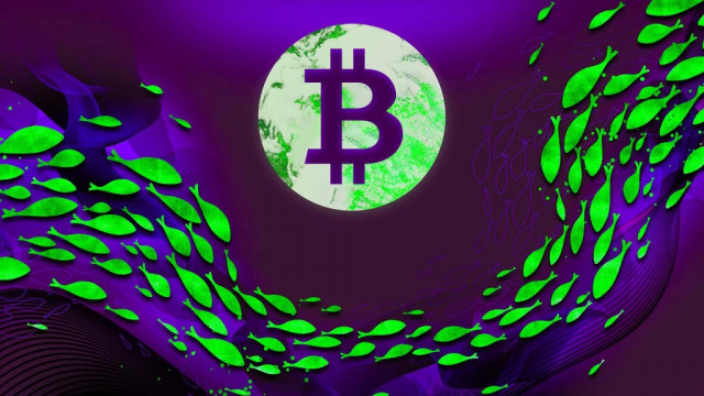 Beurs hint op een Bitcoin-omkering? Crypto-analist Benjamin Cowen kijkt naar prijsactie onder de radar