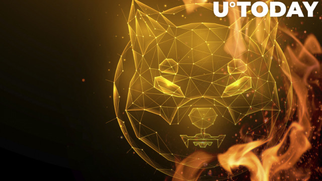 Bijna 600 miljoen SHIB voorbereid om vandaag te verbranden, 33 tokens vernietigd binnen 24+ uur