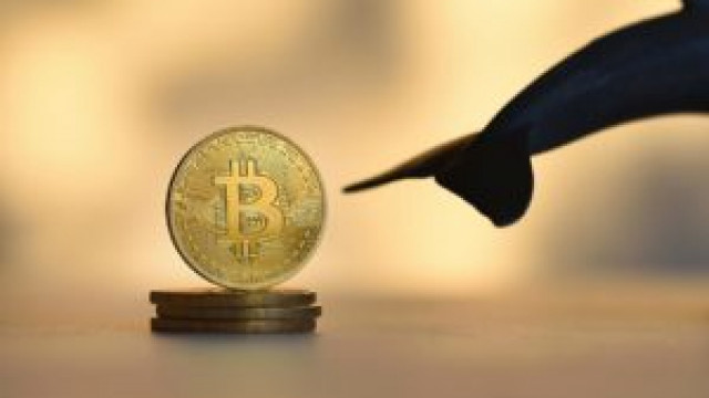Bitcoin: een walvis uit 2010 ontwaakt