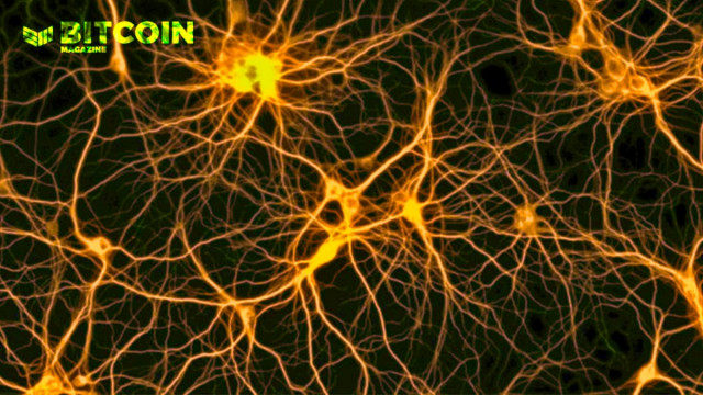 Bitcoin en de neergang van netwerkeffecten
