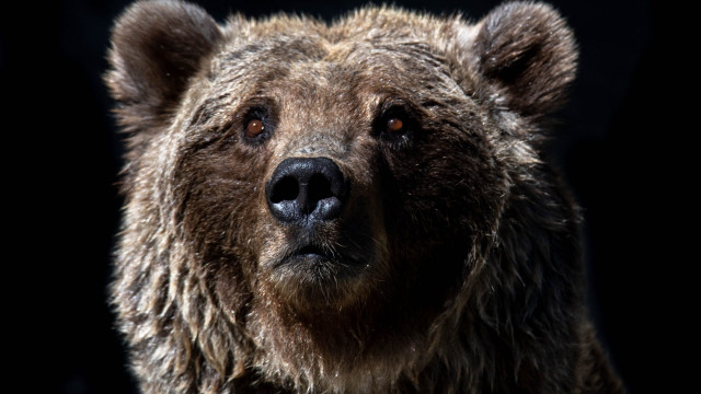 Bitcoin-hefboomratio suggereert dat er mogelijk meer achteruitgang komt