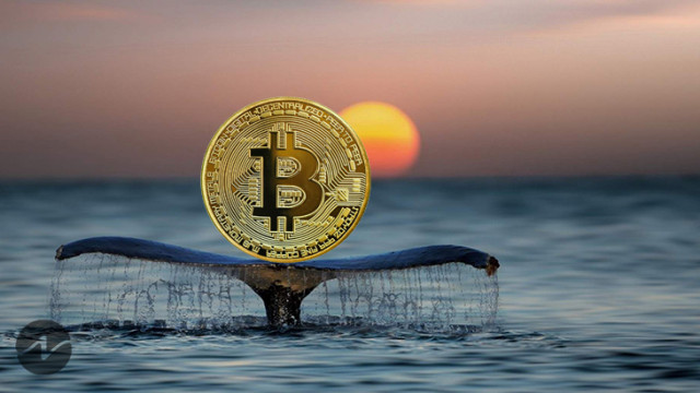 Bitcoin presteert beter dan Altcoins! BTC-prijs zou dit weekend $ 32K kunnen bereiken