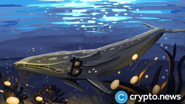 Bitcoin-walvissen profiteren van de aanhoudende crypto-duik