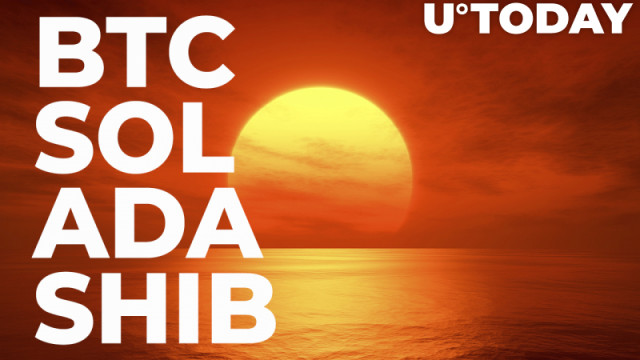 BTC, SOL, ADA, SHIB: Markt in Sea of ​​Red