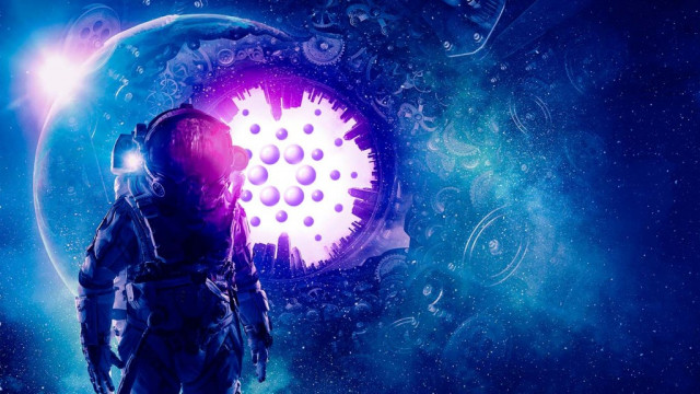 Cardano-adoptie stijgt naarmate het aantal ADA-portefeuilles een nieuw record bereikt: CryptoCompare Report