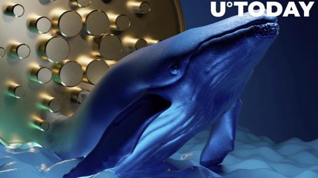 Cardano-adressen met 100.000+ ADA stijgen opnieuw omdat de prijs met 66% is gedaald ten opzichte van ATH