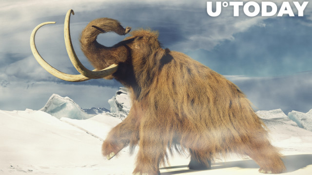 Cardano Creator investeert in het doen herleven van wolharige mammoeten