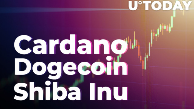 Cardano, Dogecoin en Shiba Inu boeken dubbelcijferige winsten naarmate de markt herstelt