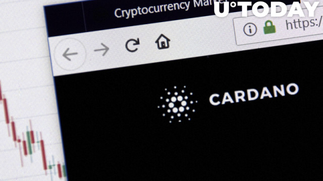 Cardano meldt enorme piek in aantal Plutus-scripts op netwerk