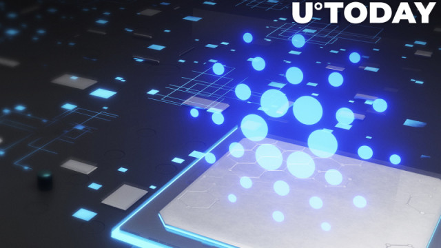 Cardano overtreft Bitcoin, Ethereum in transactievolume; Hier is het onderscheid