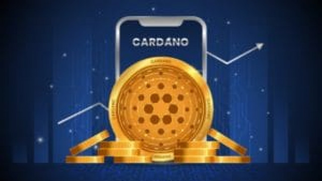 Cardano, sterke stijging aantal adressen