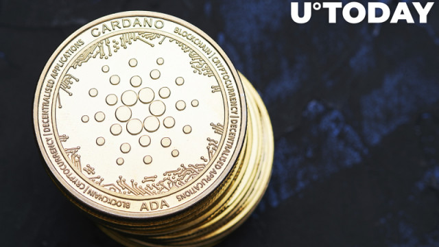 Cardano Whales kocht meer dan 16 miljoen ADA terwijl de prijs steeg, blijkt uit gegevens