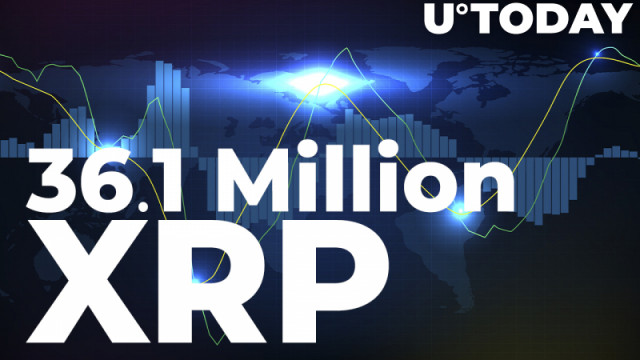 De Crypto Unicorn van deze Ripple verschuift 36,1 miljoen XRP: details