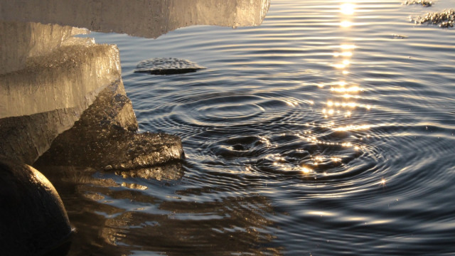De prijs van Ripple schoot op de dag met 16% omhoog en dit is waarom: