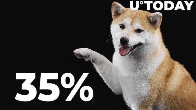 De winstgevendheid van Shiba Inu daalt tot 35%, maar walvissen laten zich niet afschrikken: details