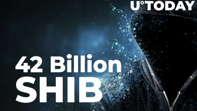 Deze Shiba Inu-walvis heeft net 42 miljard SHIB-tokens gegrepen