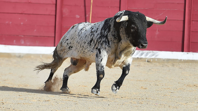 Deze twee Altcoins zijn klaar voor een grote terugval, zegt Crypto-analist