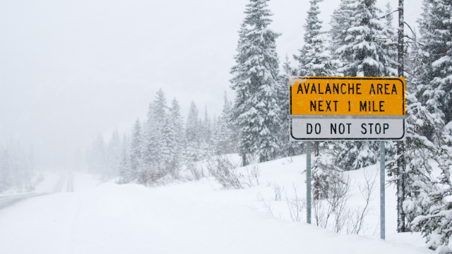 Dit is hoe een heropleving op korte termijn kan uitpakken voor Avalanche-investeerders