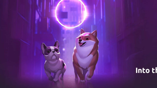 DOGAMÍ waagt zich in de zandbak om een ​​unieke huisdierervaring te creëren