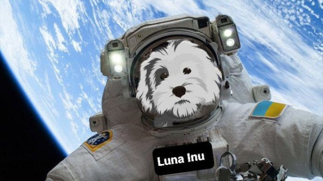 Dogecoin en Shiba Inu Knockoff Jeff Bezos Op huisdieren geïnspireerde Luna Inu stijgt met 77%