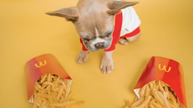 Dogecoin gaat omhoog terwijl Elon Musk memes regisseert bij McDonald's. Zullen ze wel of niet bijten?