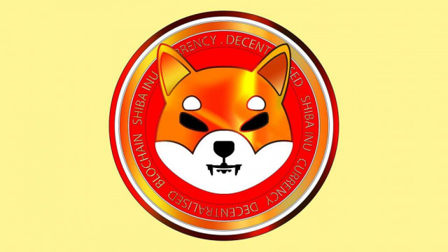 Dogecoin-rivaal Shiba Inu verliest meer dan 30.000 houders in één dag, ETH-walvissen blijven SHIB verzamelen