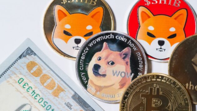 Dogecoin versus Shiba Inu: de winstgevendheid van de beste Meme-munten vergelijken