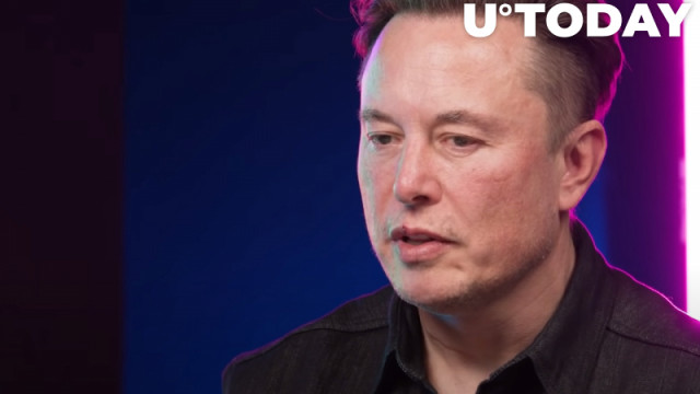 Elon Musk beweert dat Dogecoin potentieel heeft als valuta