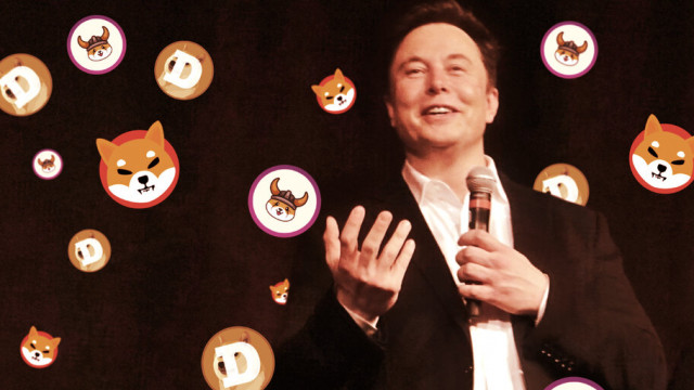 Elon Musk zegt dat SpaceX Dogecoin zal accepteren - en DOGE voorspelbaar zal pompen