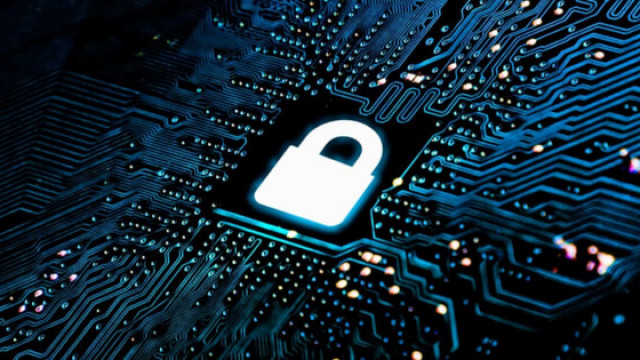 Elrond Network integreert met cyberbeveiligingsbedrijf AnChain.AI, waardoor compliance en fraudepreventie worden verbeterd