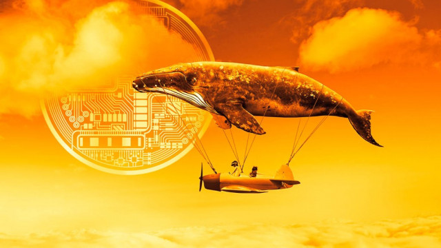 Enorme crypto-walvis verzamelt stilletjes één Ethereum-concurrent en topgaming-altcoin