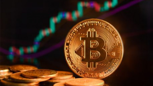 Het effect van de Bitcoin-crash op de cryptocurrency-industrie