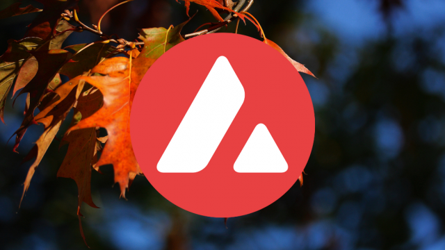 Investeren in Avalanche (AVAX) het platform van platforms