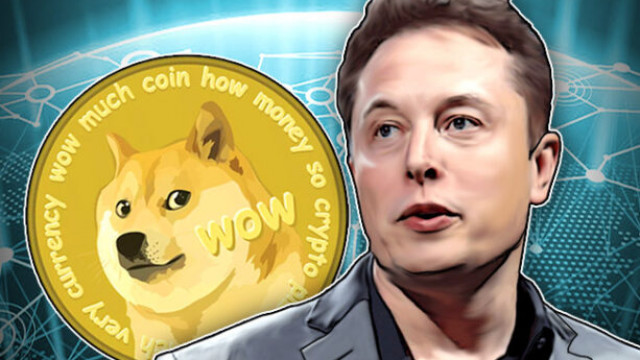 Is Dogecoin verzet geworden tegen de shilling van Elon Musk?