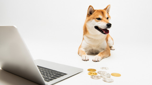 Kan Shiba Inu $ 0,01 bereiken?