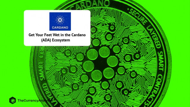 Krijg je voeten nat in het Cardano (ADA) ecosysteem