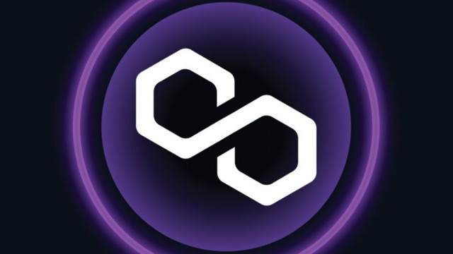 Langdurige uitval Plagen Polygon Network